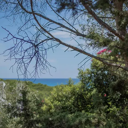 Holiday home Casa Siccas